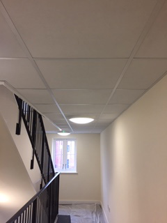 Lay-In Grid Ceilings